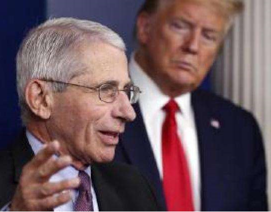 trump   Fauci  COVID-19 新冠肺炎 福奇 http://bbs.zyqjg.com/forum.php?mod=post&action=reply&fid=76&ti ...