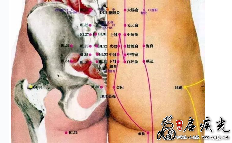 腰骶背部穴定位