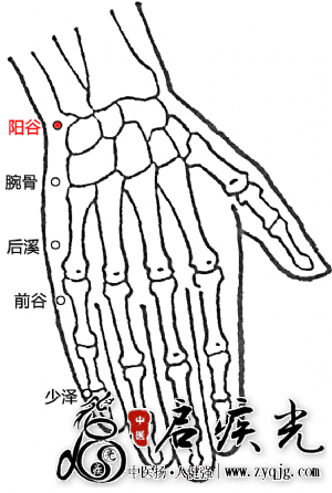 阳谷穴示意图.png