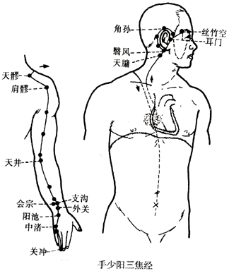 手少阳三焦经