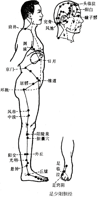 足少阳胆经