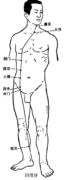 阴维脉