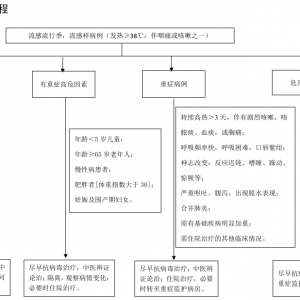 国家卫健委医务人员流感培训手册（2019年版）