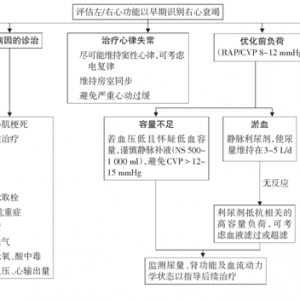 中国心力衰竭诊断和治疗指南（2018年版）