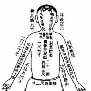 背部俞穴歌（医统）  卷四