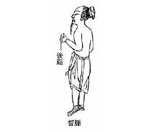 督脉（八脉图并治症穴之）