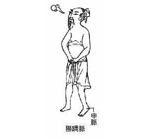 阳跷脉（八脉图并治症穴之）