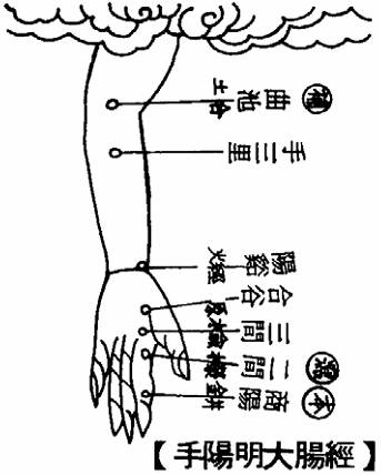 手阳明大肠经