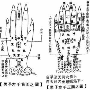 阳掌图各穴手法仙诀