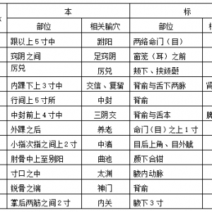 经络的标本、根结、气街、四海