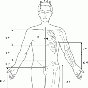 腧穴的定位