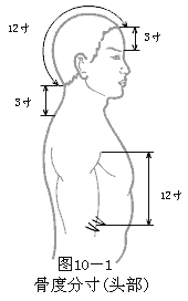 骨度分寸法-头部