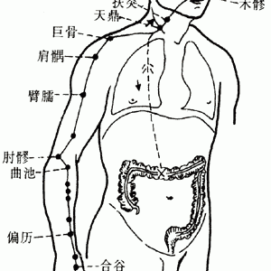 十二经脉·手阳明大肠经（共20穴之前6穴）