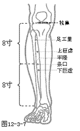 足阳明胃经穴