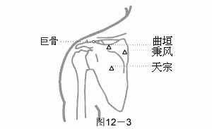 十二经脉·手阳明大肠经（共20穴之后14穴）