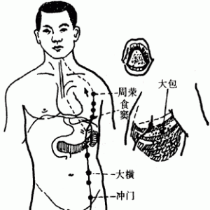 十二经脉·足太阴脾经（共21穴之前8穴）