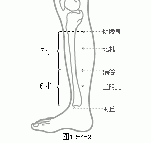 十二经脉·足太阴脾经（共21穴之后13穴）