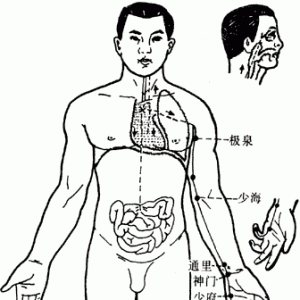 十二经脉·手少阴心经（共9穴）