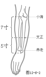 手太阳小肠经穴