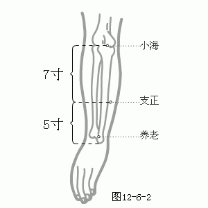 十二经脉·手太阳小肠经（共19穴之后12穴）