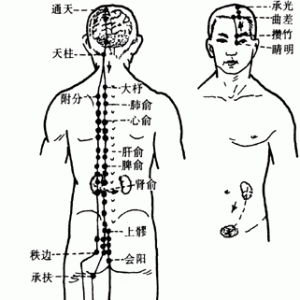 十二经脉·足太阳膀胱经（共67穴之前6穴）