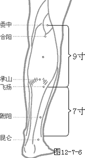 足太阴膀胱经穴