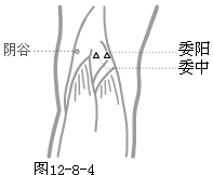 足少阴肾经穴