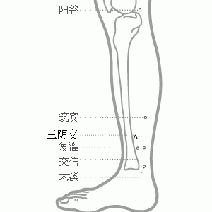 十二经脉·足少阴肾经（共27穴之中8穴）