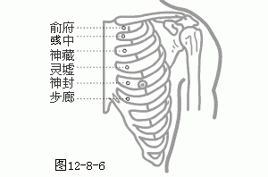 十二经脉·足少阴肾经（共27穴之后11穴）