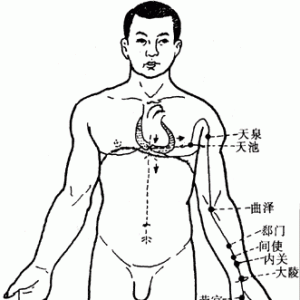 十二经脉·手厥阴心包经（共9穴）