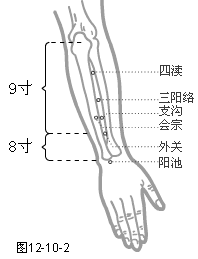 手少阳三焦经穴