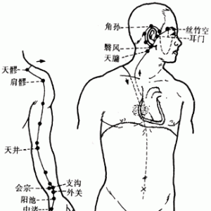 十二经脉·手少阳三焦经（共23穴之前7穴）