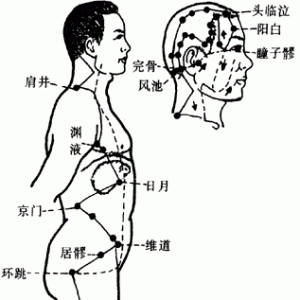 十二经脉·足少阳胆经（共44穴之前7穴）