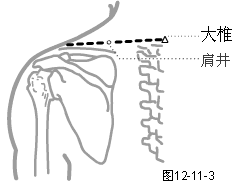 足少阳胆经穴