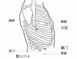 十二经脉·足少阳胆经（共44穴之次后9穴）