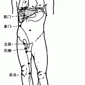 十二经脉·足厥阴肝经（共14穴之前8穴）