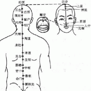 奇经八脉·督脉（共28穴之前16穴）