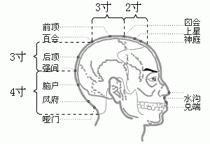 奇经八脉·督脉（共28穴之后12穴）