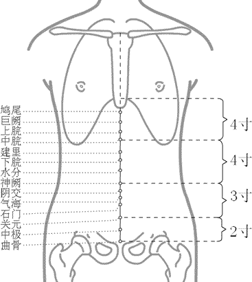 任脉穴