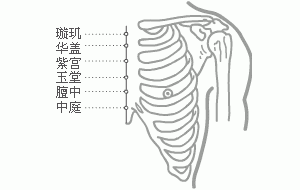 奇经八脉·任脉（共24穴之后9穴）