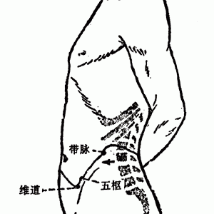 奇经八脉·带脉