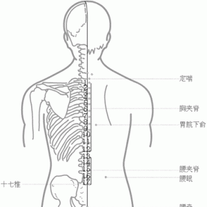 背部奇穴