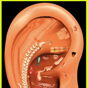 耳穴辅助诊断方法