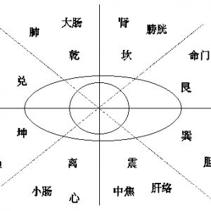 眼针取穴原则及眶内眶外的刺法