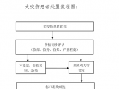 常见动物致伤诊疗规范（2021年版）•犬咬伤诊疗规范（国卫办医函〔2021〕417号） ...  ...