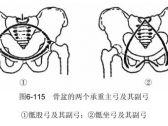 骨折·躯干骨折·骨盆骨折