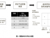 县域慢性阻塞性肺疾病分级诊疗技术方案(国卫办医函〔2022〕34号) ... ... ... ...