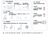 新冠病毒抗原自测基本要求及流程（联防联控机制综发〔2022〕21号） ...