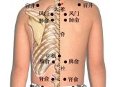 小儿推拿常用穴位●背腰骶部穴位●大椎（百劳）