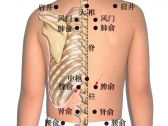小儿推拿常用穴位●背腰骶部穴位●脾俞